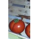Tomates