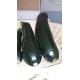 Courgettes