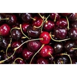 Cerises