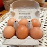 Boite de 6 oeufs bio